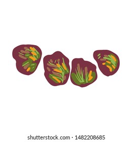Dole Salad, red leaf lettuce illustration isolated on white background. Flat cartoon style. Vector illustration.