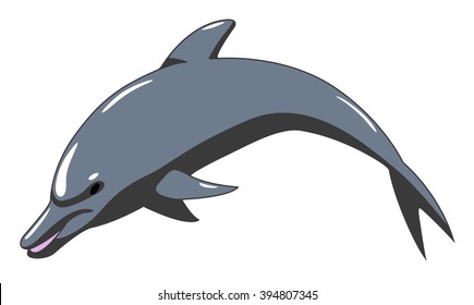 Dolfin on the white background