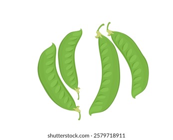 Dolichos lablab on white background.