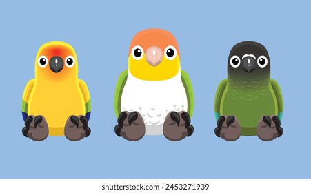 Doll Parrot Conure Caique Animal Cute Cartoon Vector Illustration