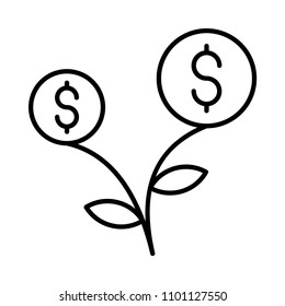 dollar flower plant 