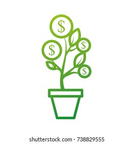 dollar golden coin plant inside pot finance