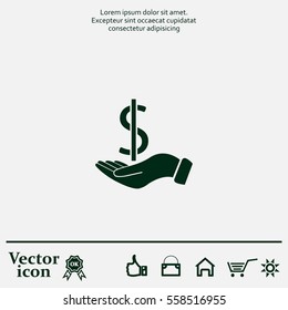 Dollar with hand icon