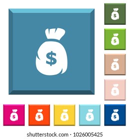 Dollar money bag white icons on edged square buttons in various trendy colors