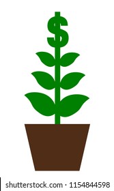 Dollar money tree illustration vector in flowerpot