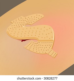 Dollar Sign Bandage on a Wound - Vector Illustration