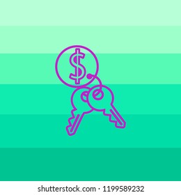 Dollar sing key concept icon