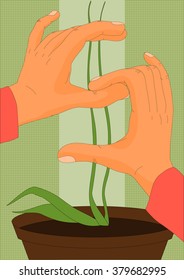 Dollar symbol, hands and plant