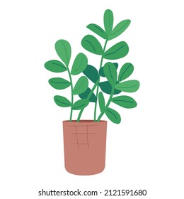 Dollar tree in pot semi flat color vector object. Full sized item on white. Home garden. Ornamental houseplant simple cartoon style illustration for web graphic design and animation