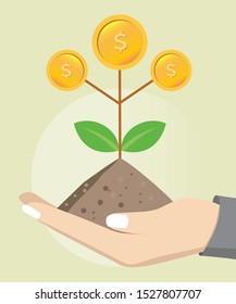 Dollar tree show mutual fund growth