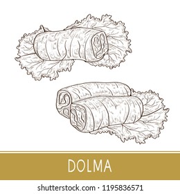 Dolma. Food. Leaf, salad. Sketch. Set.