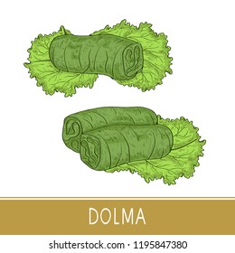 Dolma. Food. Leaf, salad. Sketch. Color