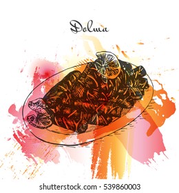 Dolma watercolor effect illustration. Vector illustration of Turkish cuisine.