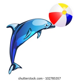 Dolphin