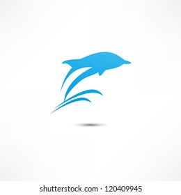 Dolphin