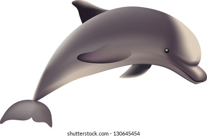 Dolphin