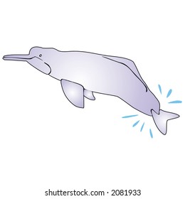 dolphin
