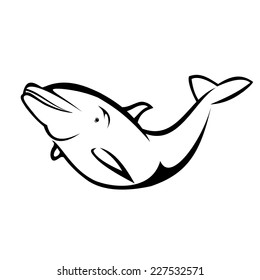 Dolphin