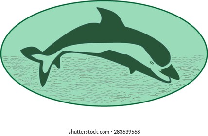 dolphin