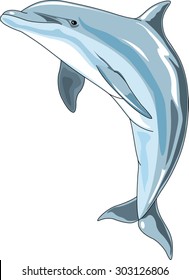 Dolphin