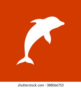 dolphin