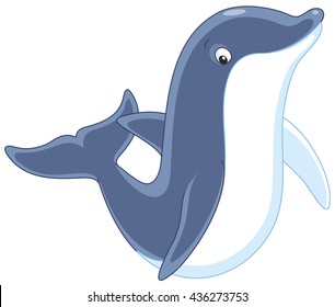 Dolphin