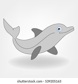 dolphin