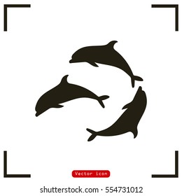 dolphin