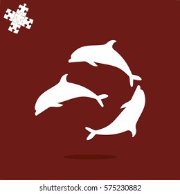 dolphin