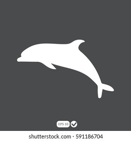dolphin