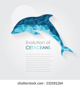 dolphin anatomy vector illustration in low poly art style