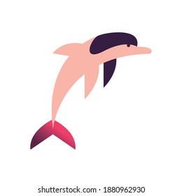 dolphin animal design Sea life ecosystem fauna and ocean theme Vector illustration