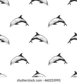 dolphin animal mammal pattern