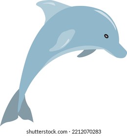 A Dolphin Is An Aquatic Mammal