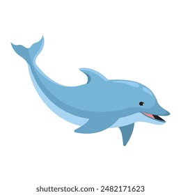 dolphin aquatic mammal animal isolated