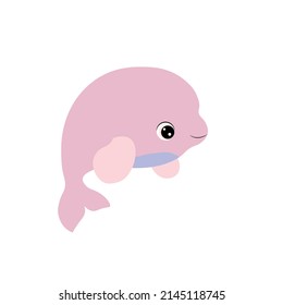 dolphin baby isolated on white background