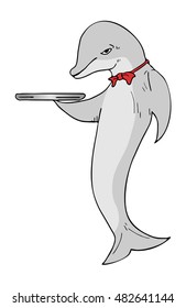 dolphin barman