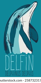 Dolphin Big Graphic Detail Printing