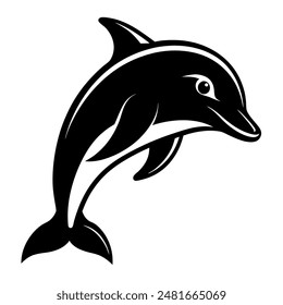 Ein schwarz-weiß gefärbter Delphin springt aus dem Ozean