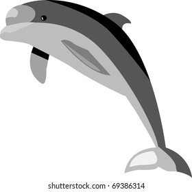 dolphin black and white printing