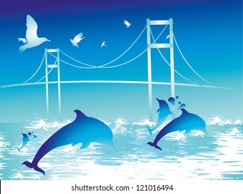 dolphin and bridge
