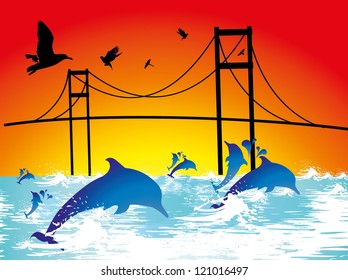 dolphin and bridge