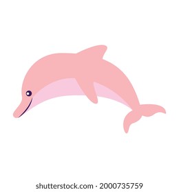 dolphin cartoon isolated over white background. vector illustration