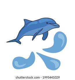 Dolphin in cartoon style, aquatic animal and drops of water for design vector illustration