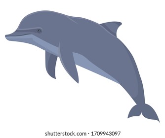 Dolphin in cartoon style. Sea animal isolated on white background.