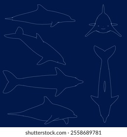 Dolphin characters contour set. Dolphins jump and swim poses. Oceanarium show mascot underwater animal. Vector illustration set