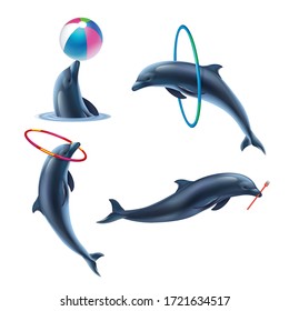 Dolphin circus realistic icon set four dolphins acting with inflatable ball clubs and hoop vector illustration