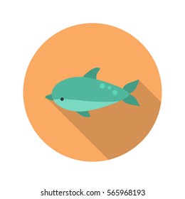 Dolphin color flat icon