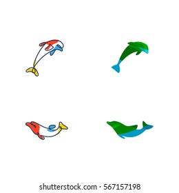 Dolphin Colorful Art Icon Logo Vector Set Element
