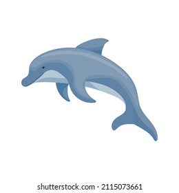 Dolphin colorful marine mammal illustration.Vector graphic.